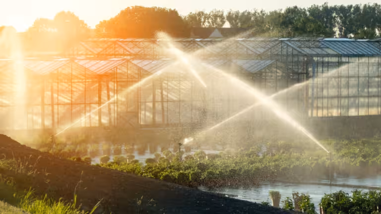 Arroseurs d'eau utilisés dans l'agriculture